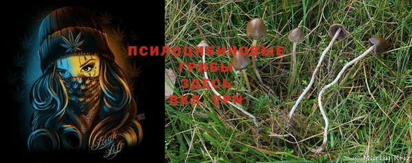 spice Медвежьегорск