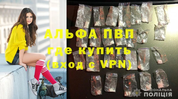 spice Медвежьегорск