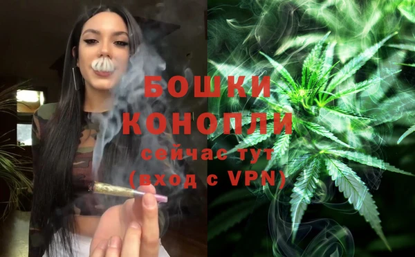 spice Медвежьегорск