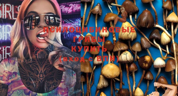 spice Медвежьегорск