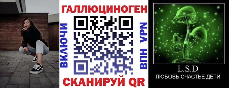 Псилоцибиновые грибы Psilocybine cubensis  Ногинск 