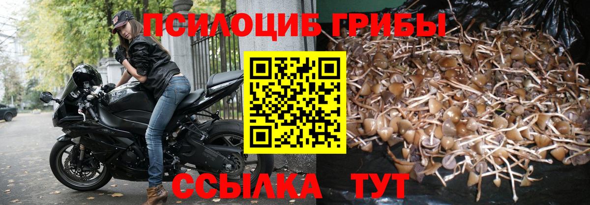 Галлюциногенные грибы мицелий  купить наркоту  Вход с VPN  Ногинск  Псилоцибиновые грибы ЛСД 