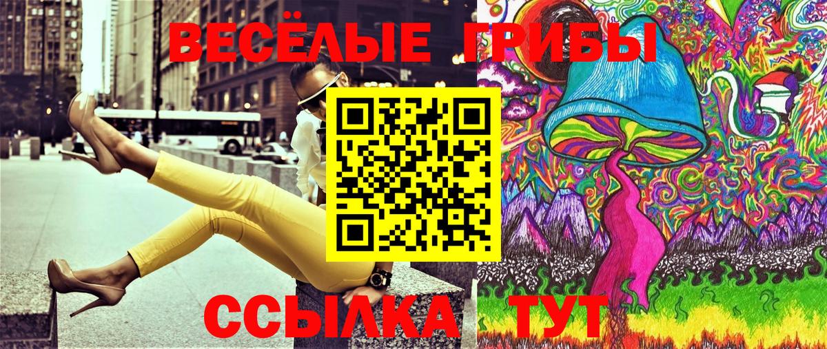 Галлюциногенные грибы GOLDEN TEACHER  Ногинск 